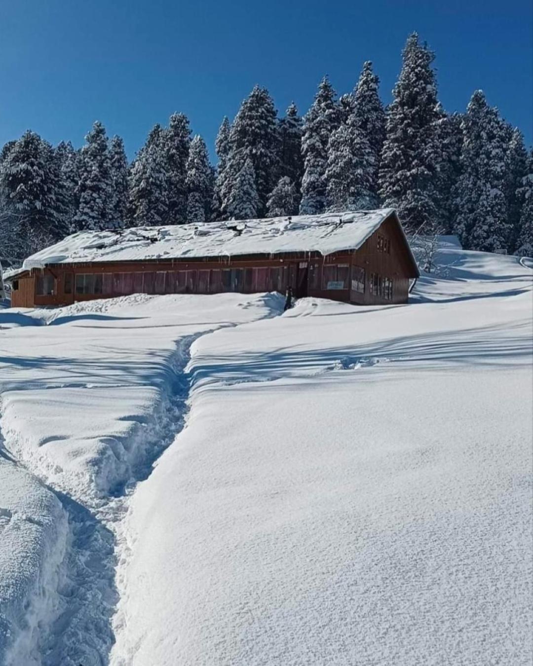 Roseland Cottage , Gulmarg Dış mekan fotoğraf